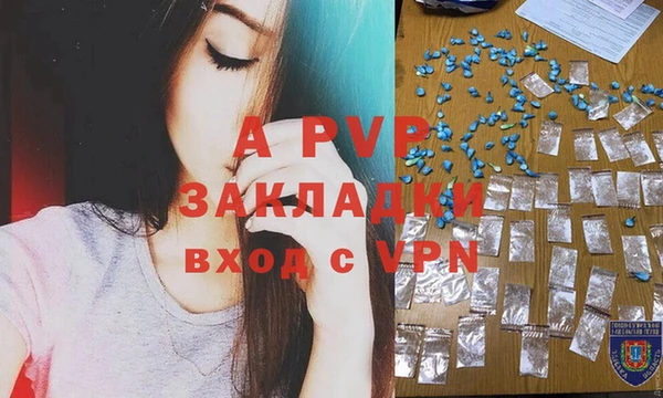 стафф Алексин