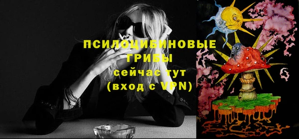 круглые Алексеевка