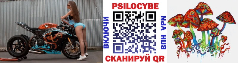 Псилоцибиновые грибы Psilocybe  цены наркотик  Чайковский 