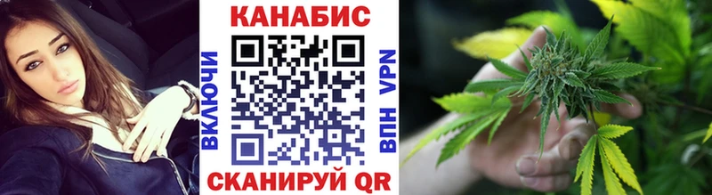 мега ссылки  Чайковский  Канабис гибрид 